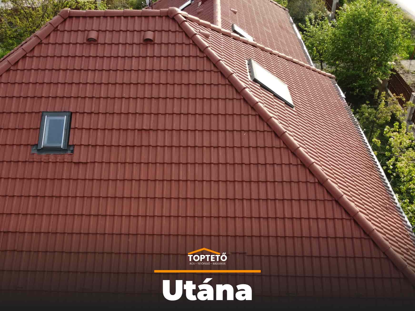 Tetőfestés, javítás és takarítás, 1. nézet